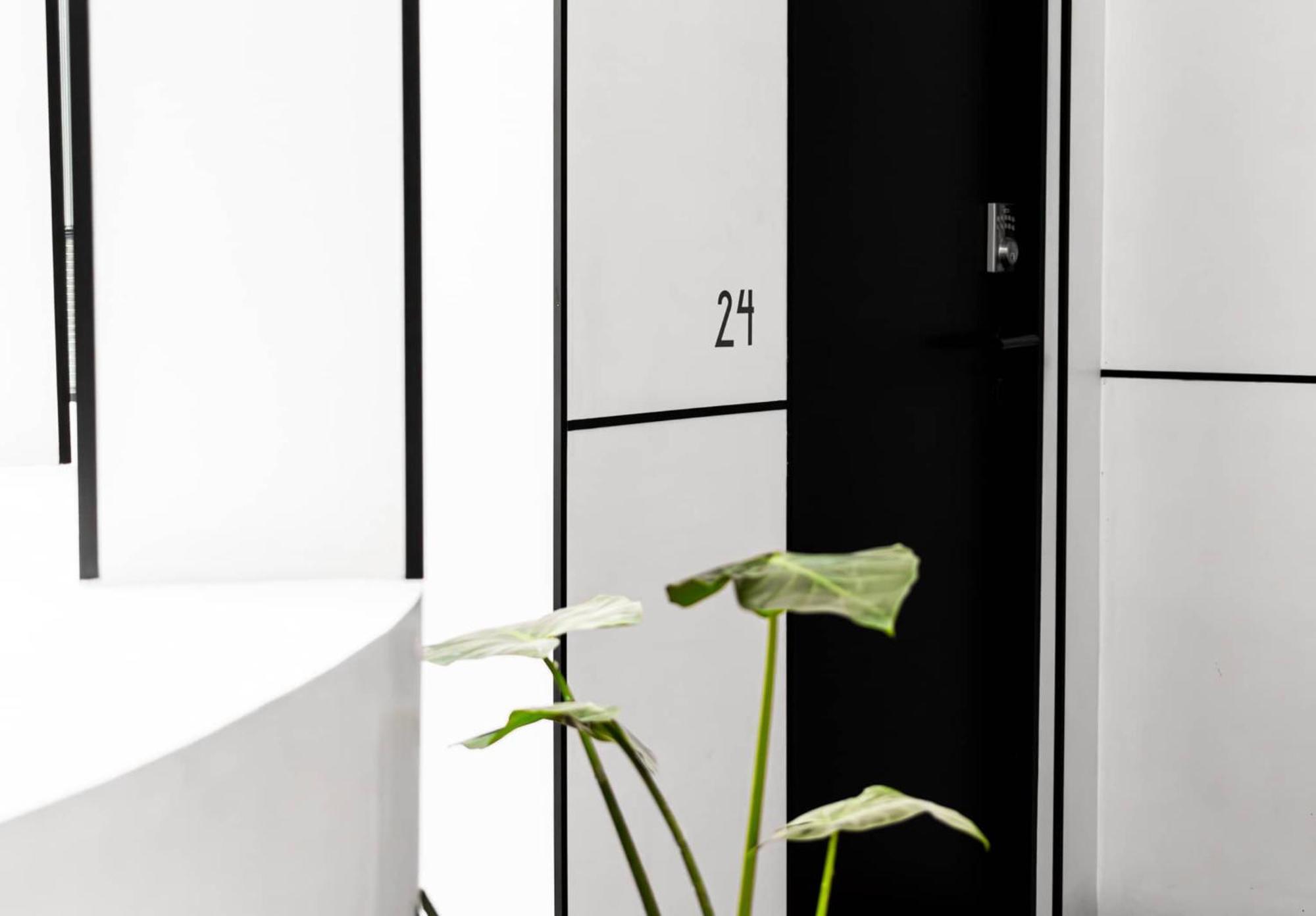Puerta Roja Excelente Ubicacion En La Condesa Hotell Mexico City Exteriör bild